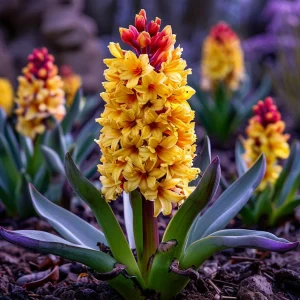 Гиацинт Миднайт Мистери купить по цене от 2099р. в интернет-магазине «Посадика» с доставкой почтой в в Костеревое и по всей России – [изображение №1].