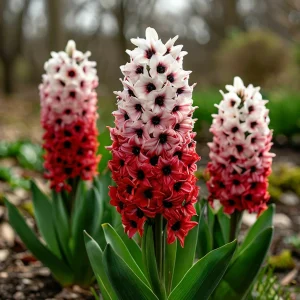 Гиацинт Скай Гарден купить по цене от 2099р. в интернет-магазине «Посадика» с доставкой почтой в в Костеревое и по всей России – [изображение №1].